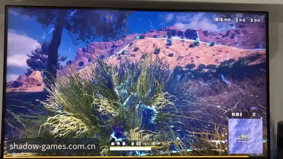 如何完成幻影体育安卓安装？一文详解最新版本下载与使用要点